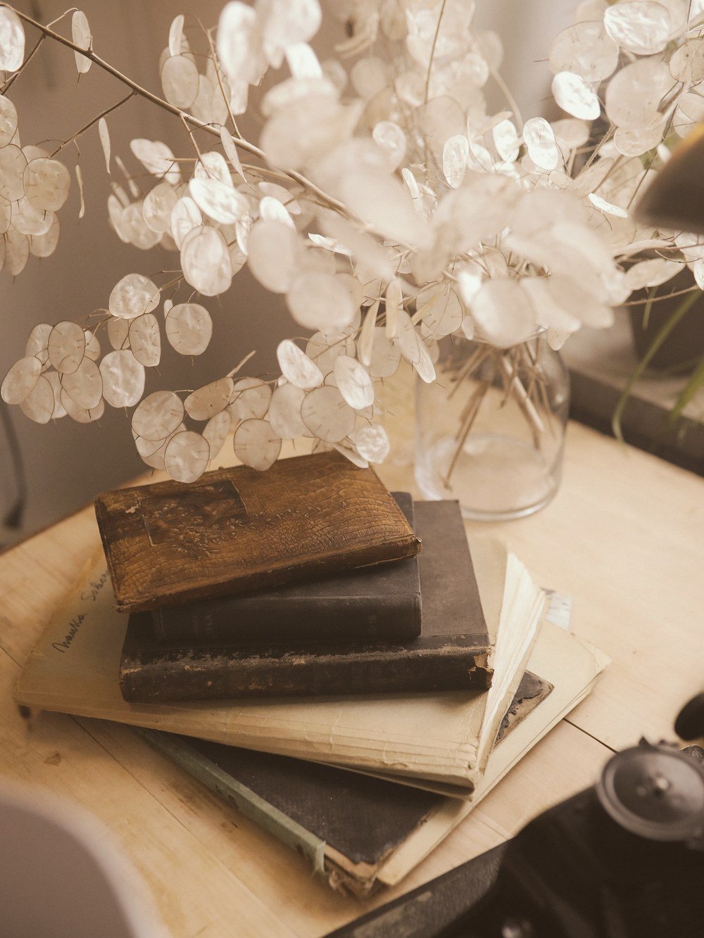 A stack of well-read books beside dried honesty seed pods