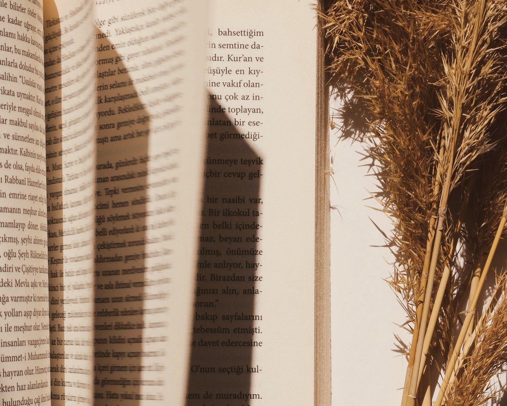 An open book beside dried wheat in warm afternoon light